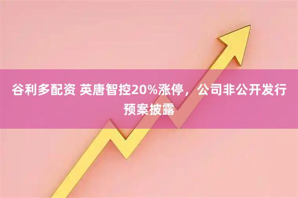 谷利多配资 英唐智控20%涨停，公司非公开发行预案披露