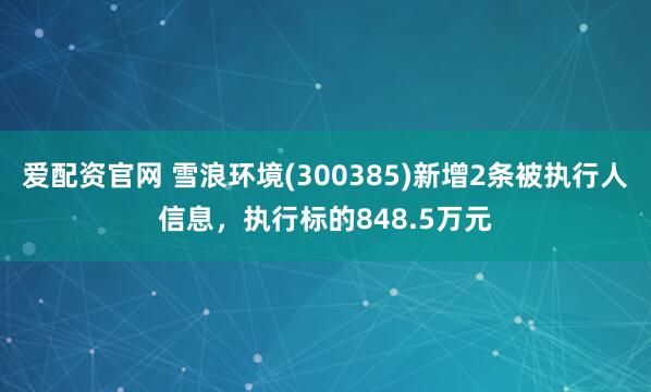 爱配资官网 雪浪环境(300385)新增2条被执行人信息，执行标的848.5万元